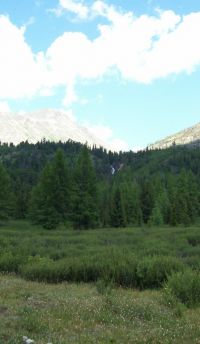 Водопад вдали